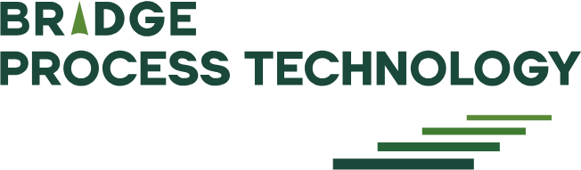 Bridge Process Technology